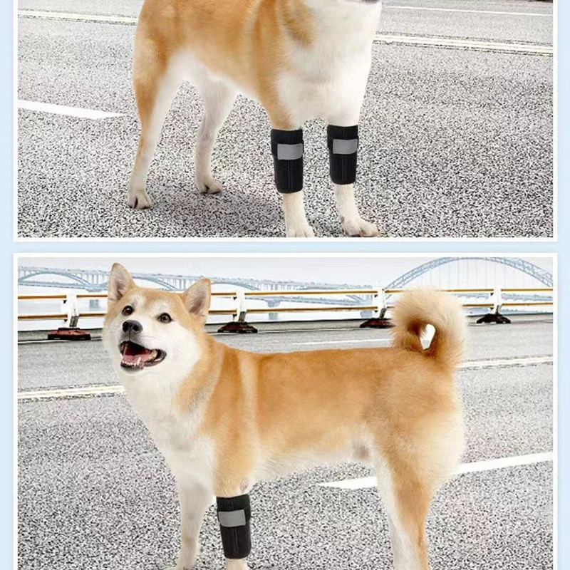 Dog Knee Pad Front Leg Muffs Senior Dog Auxiliary Support Injury Recovery Strap Velcro Small Dogs Knee Joint Adjustable Retainer - Image 4