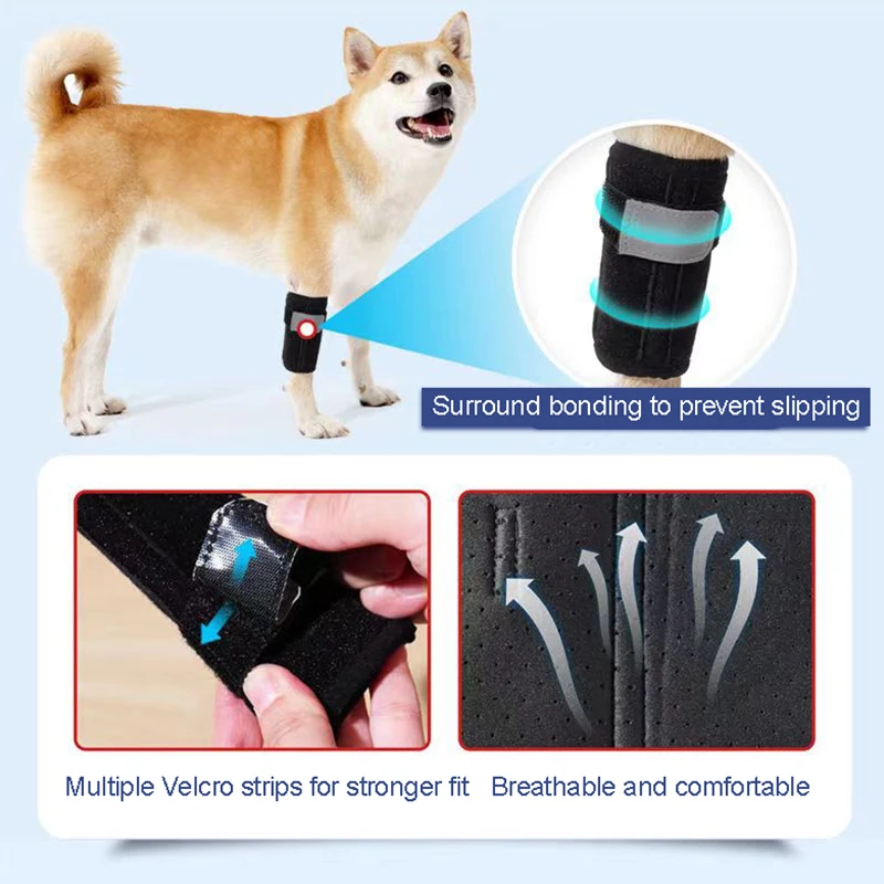 Dog Knee Pad Front Leg Muffs Senior Dog Auxiliary Support Injury Recovery Strap Velcro Small Dogs Knee Joint Adjustable Retainer - Image 2
