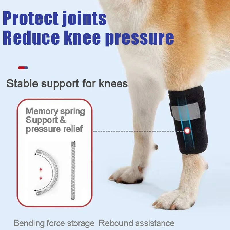 Dog Knee Pad Front Leg Muffs Senior Dog Auxiliary Support Injury Recovery Strap Velcro Small Dogs Knee Joint Adjustable Retainer - Image 3