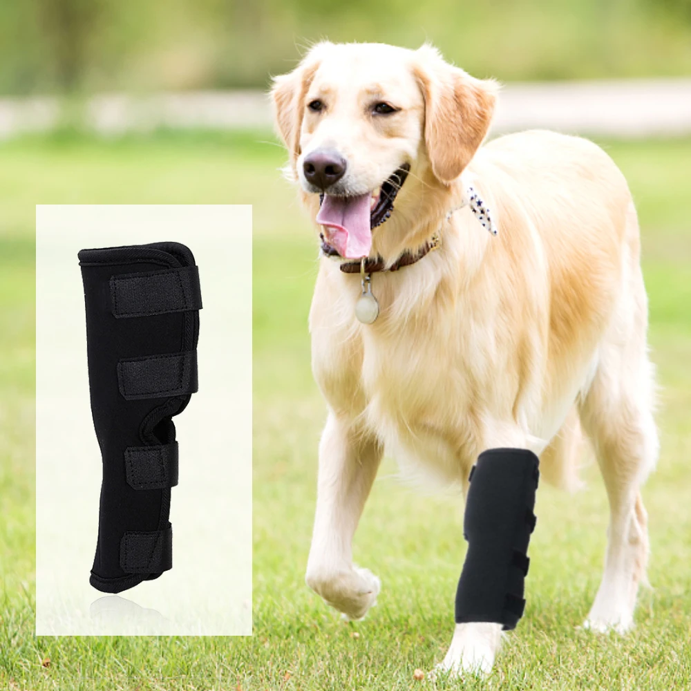 Leg Knee Pads for Dogs Recovery Bandage Anti-Lick Wound Dog Arthritis Auxiliary Fixed Joint Protector Dog Accessories - Image 3