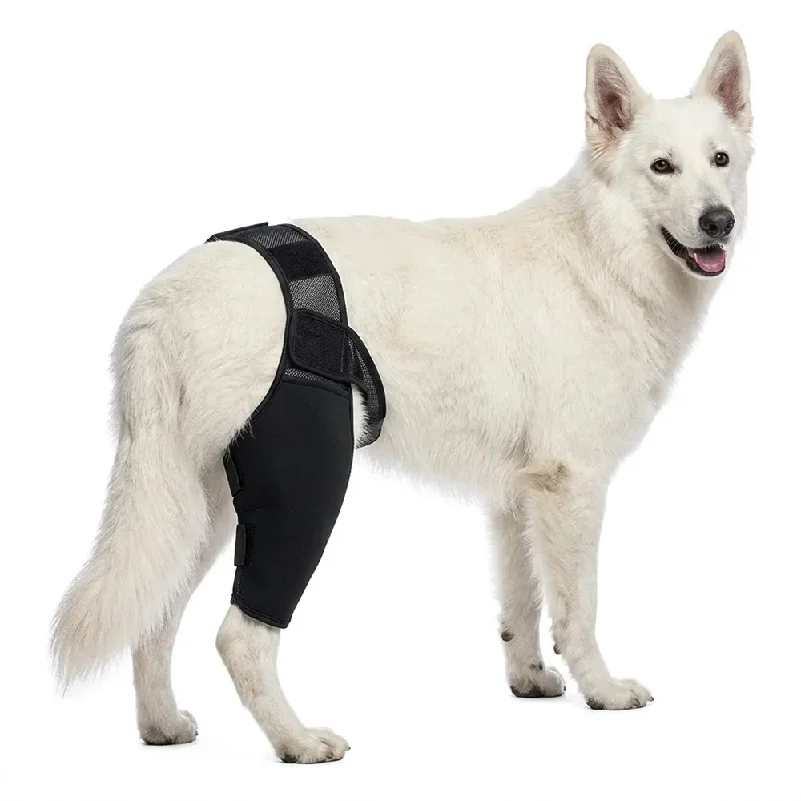 Dog Rear Leg Brace for Large Dogs Knee Joint Support Wrap Hind Leg Protector Adjustable Recovery Sleeve for Injury Arthritis