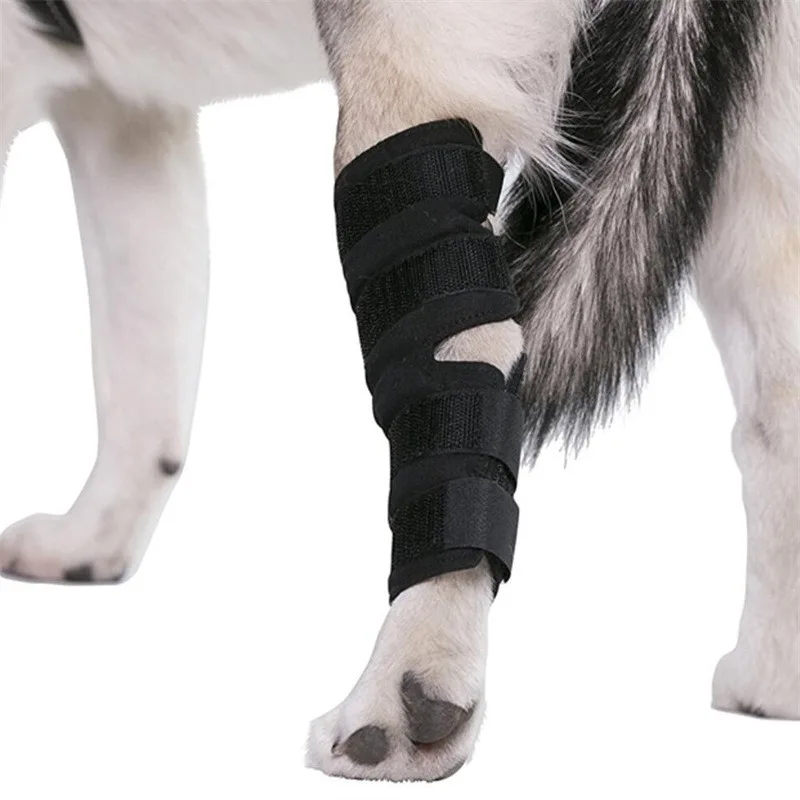 Pet Legs Protector Knee Pads For Joint Injury Recovery Dog Thigh Brace Wrap Adjustable Support Belt Post-operative Fixation - Image 3