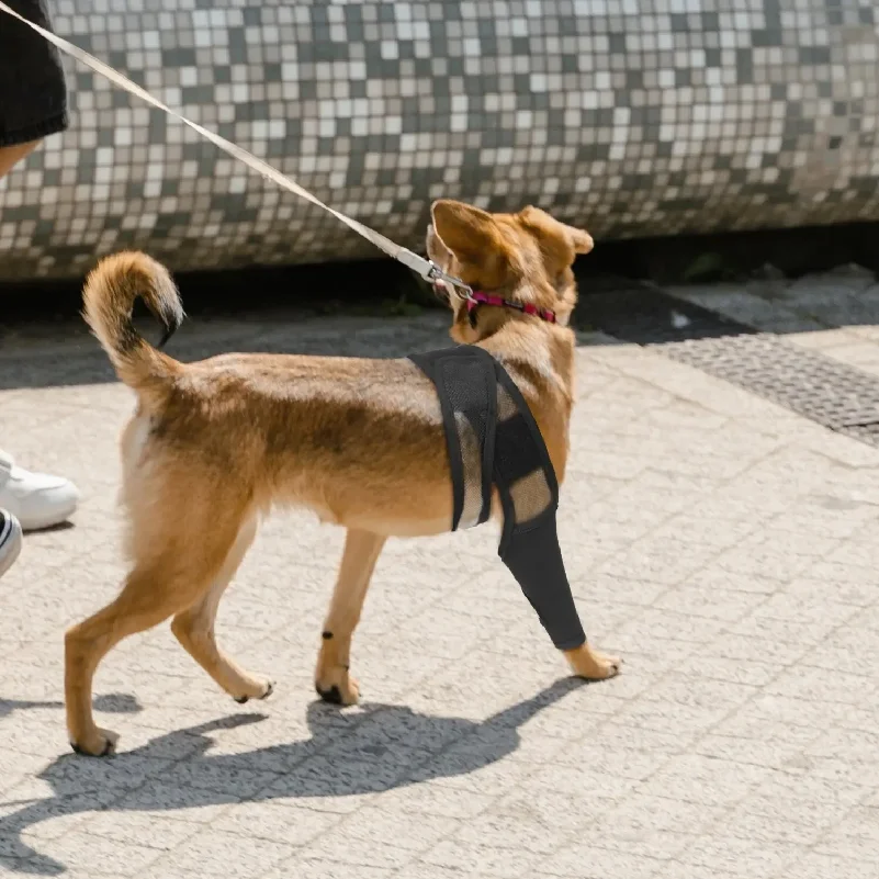 Dog Rear Leg Brace for Large Dogs Knee Joint Support Wrap Hind Leg Protector Adjustable Recovery Sleeve for Injury Arthritis - Image 4