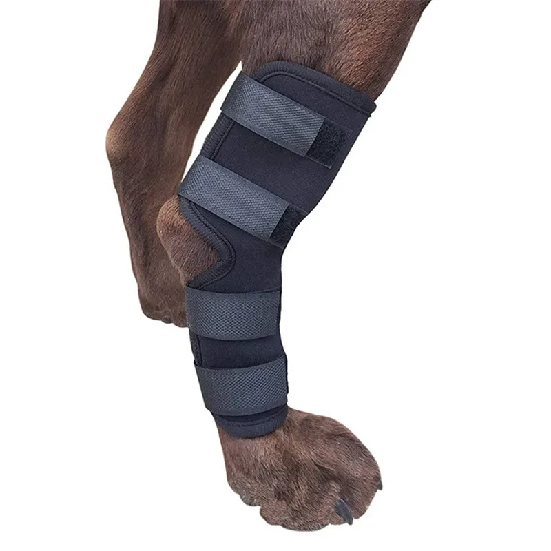Pet Legs Protector Knee Pads For Joint Injury Recovery Dog Thigh Brace Wrap Adjustable Support Belt Post-operative Fixation - Image 5