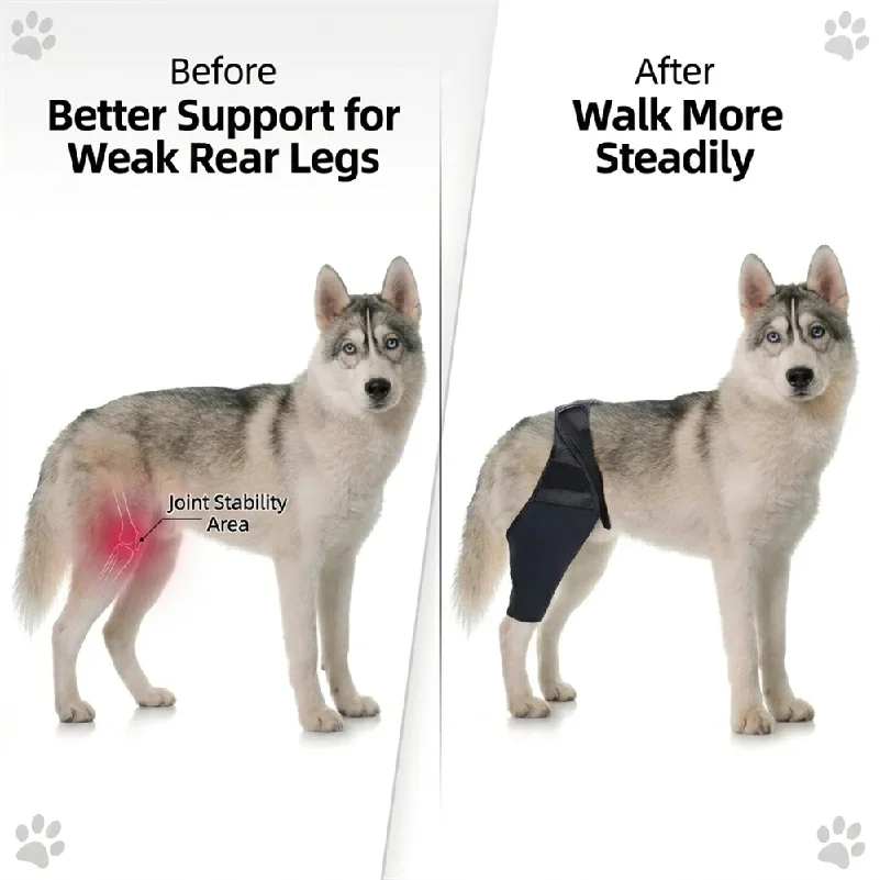 Dog Rear Leg Brace for Large Dogs Knee Joint Support Wrap Hind Leg Protector Adjustable Recovery Sleeve for Injury Arthritis - Image 3