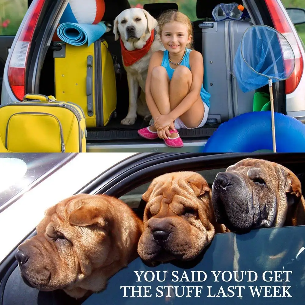 Adjustable Pet Dog Cat Car Seat Belt for Dogs Harness Leash Travel Clip French Bulldog Dog Collar Connector Accessories Supplies - Image 2
