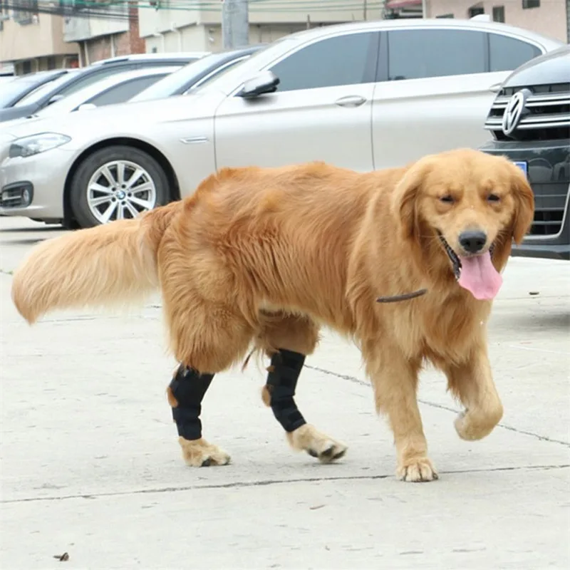 Pet Legs Protector Knee Pads For Joint Injury Recovery Dog Thigh Brace Wrap Adjustable Support Belt Post-operative Fixation