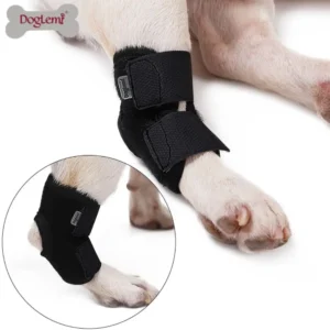 Durable Neoprene Pet Knee Pads Breathable Care Tools Dogs Hock Joint Brace Black Dog Protector Cover Dogs Injury Recovery