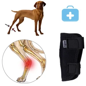 Material Protective Case Breathable for Small,Middle,Large Dog Dog Support Brace Dog Leg Brace Pet Knee Pads Dog Leg Wrap