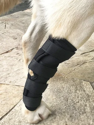 1pc-Dog leg protective cover, anti licking joint fixing and recovery strap for pet leg injuries, leg support foot cover