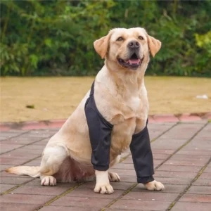 Practical Cartoon Pattern Dog Elbow Sleeves Soft Cotton Dog Elbow Protector Shoulder Support Brace Pet Knee Pads for Elbow Brace