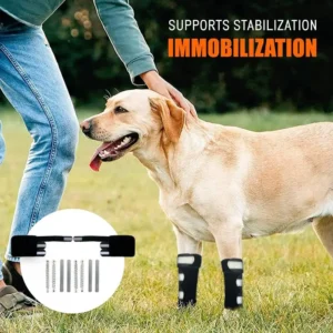 1PC Metal Strips Dog Front Leg Brace Reflective Strips Adjustable Straps Joint Support Non-Slip Breathable Knee Brace