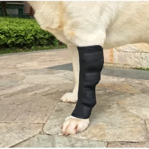 Dog-leg Protection Sleeve Post-Operative Rehabilitation Knee Support Pet Joint Protection Sleeve Cat Dog Protection Sleeve
